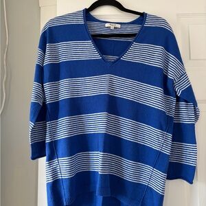 Madewell Royal Blue and White V-Neck Sweater